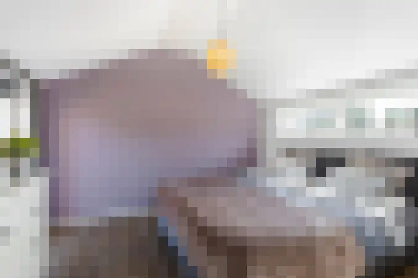 Lijsterbeslaan 10 Ameide thumbnail 19