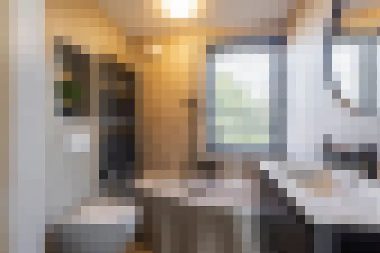 Lijsterbeslaan 10 Ameide thumbnail 22
