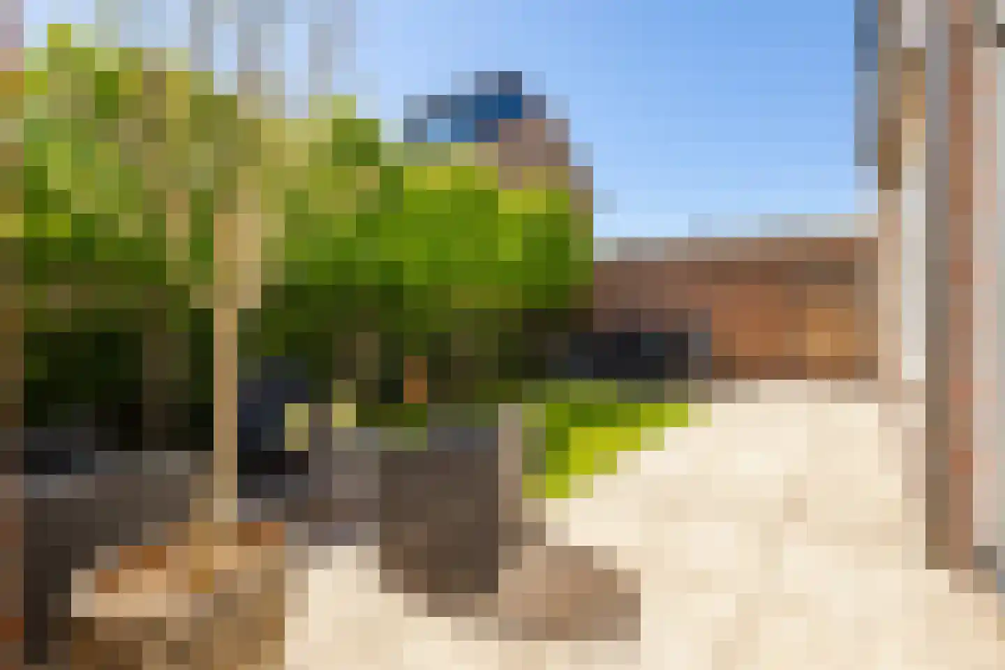 Lijsterbeslaan 10 Ameide thumbnail 26