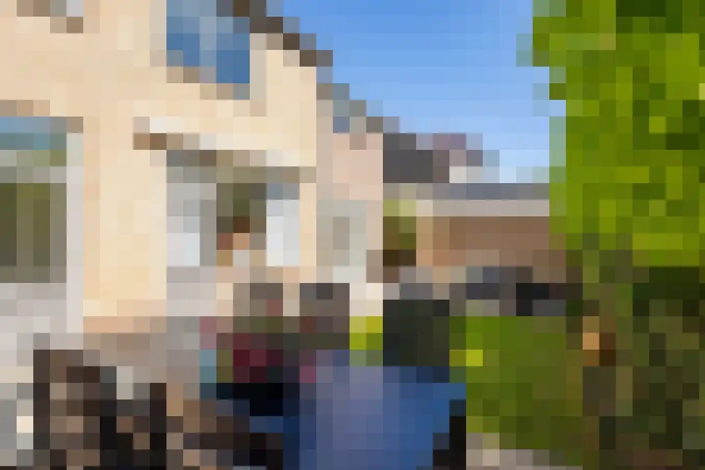 Lijsterbeslaan 10 Ameide thumbnail 30
