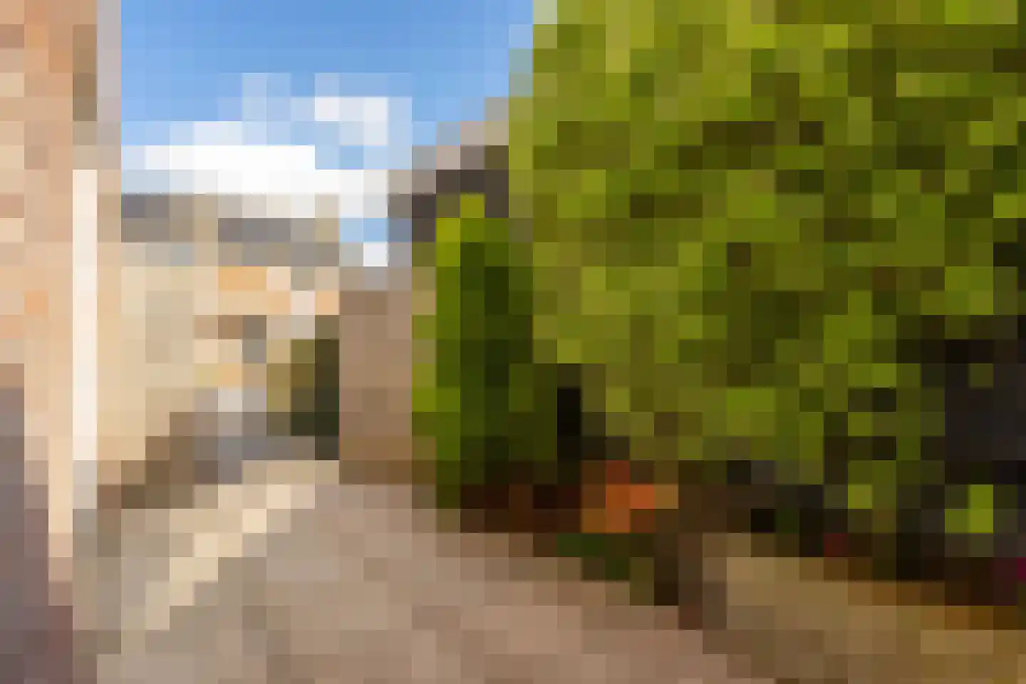 Lijsterbeslaan 10 Ameide thumbnail 35