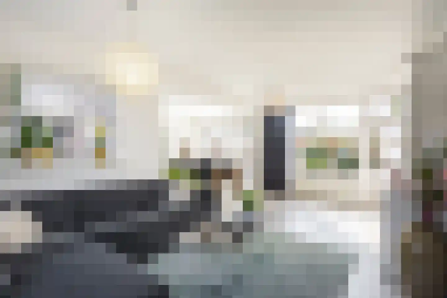 Lijsterbeslaan 10 Ameide thumbnail 9