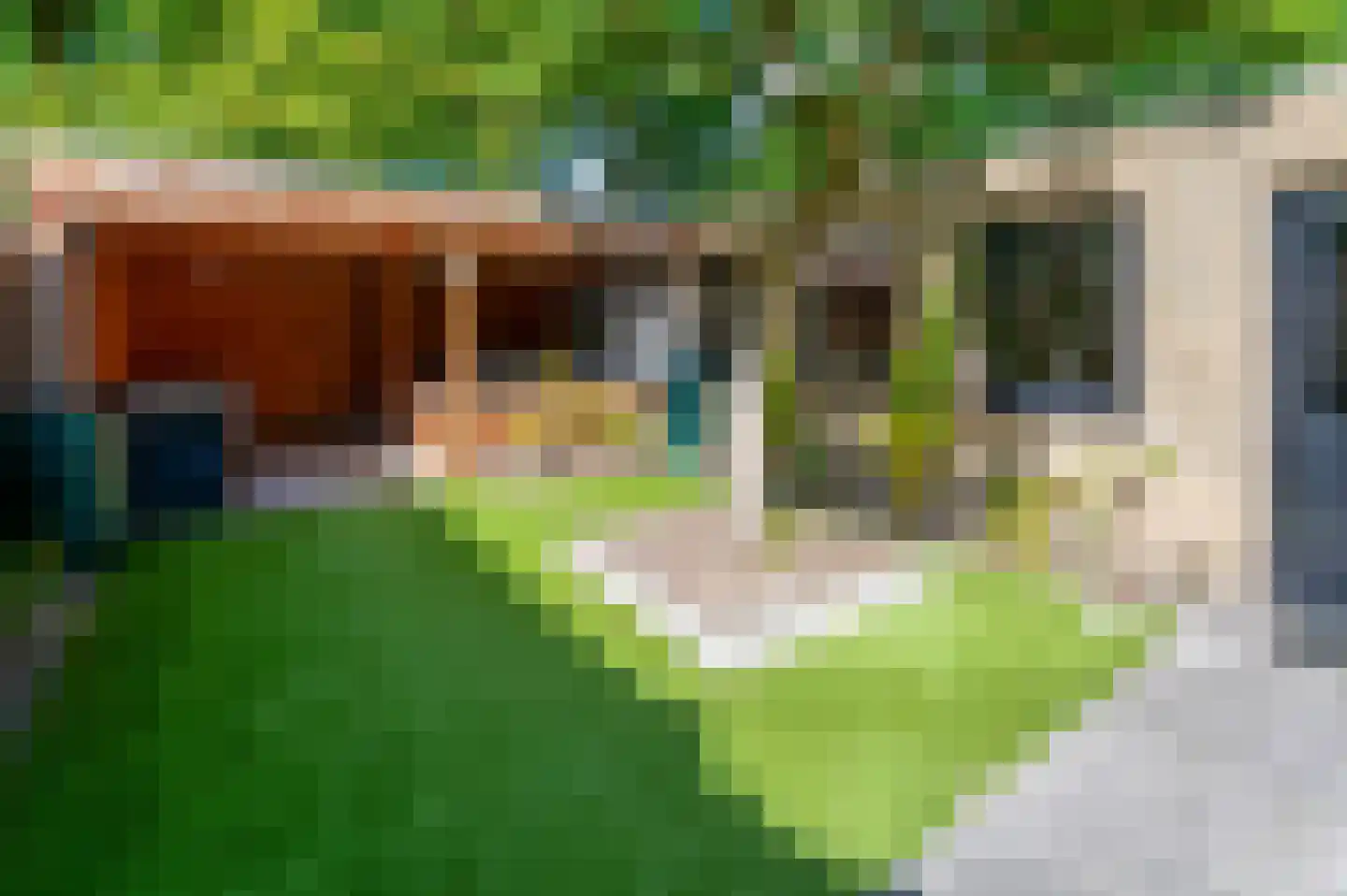 Lijsterbeslaan 10 Berkel-Enschot thumbnail 36