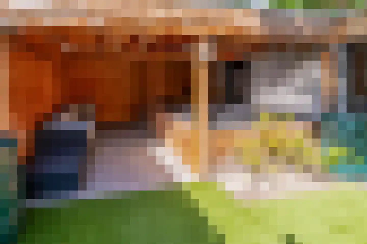 Lijsterbeslaan 10 Berkel-Enschot thumbnail 37