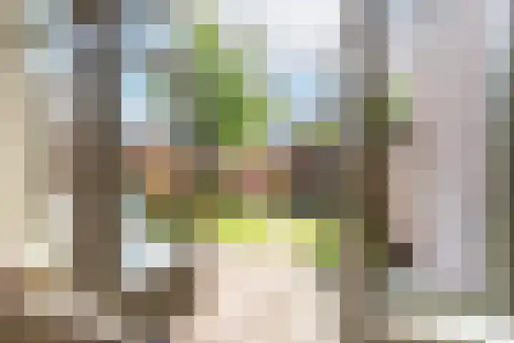 Lijsterbeslaan 10 Castricum thumbnail 15