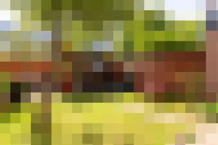Lijsterbeslaan 10 Castricum thumbnail 17