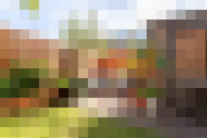 Lijsterbeslaan 10 Castricum thumbnail 18