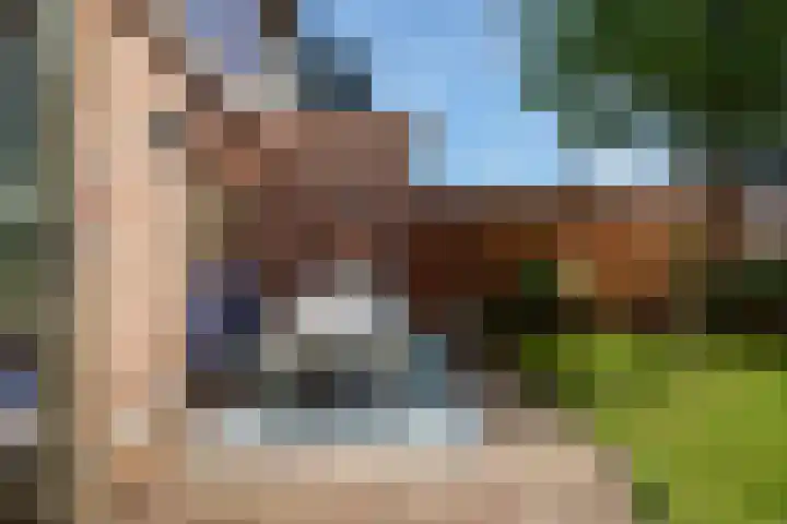 Lijsterbeslaan 10 Castricum thumbnail 19