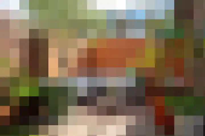 Lijsterbeslaan 10 Castricum thumbnail 20
