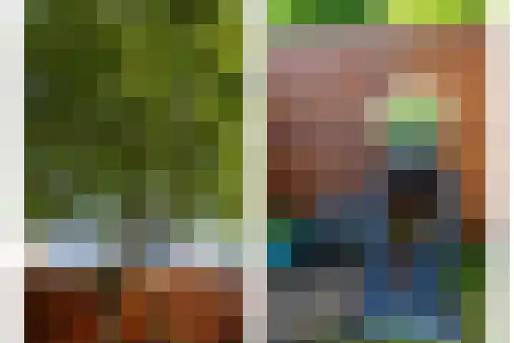 Lijsterbeslaan 10 Castricum thumbnail 21