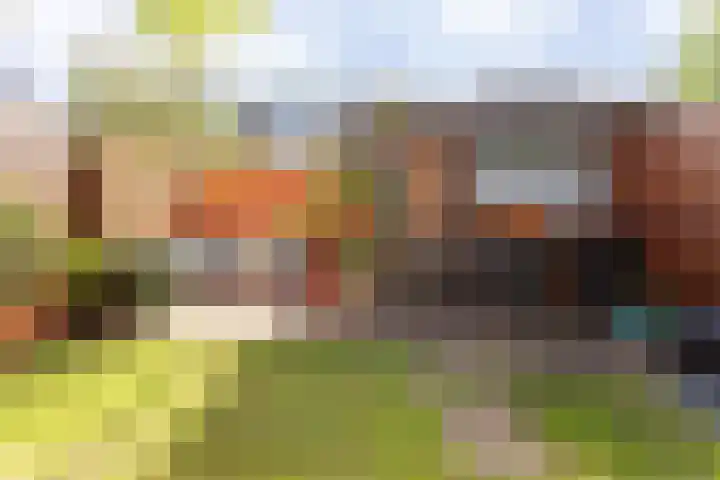 Lijsterbeslaan 10 Castricum thumbnail 22