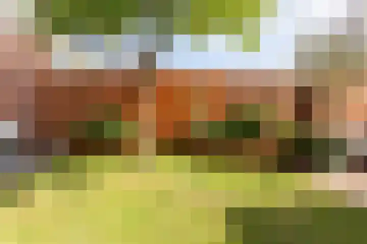 Lijsterbeslaan 10 Castricum thumbnail 23
