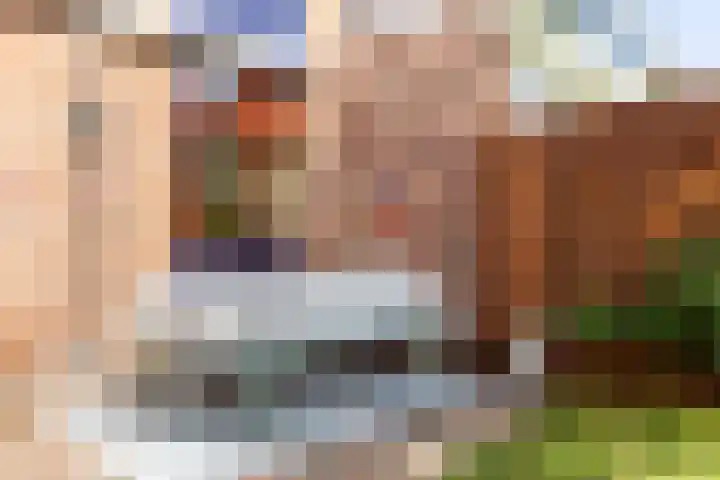 Lijsterbeslaan 10 Castricum thumbnail 24