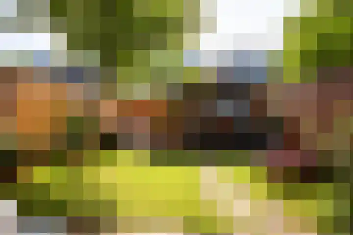 Lijsterbeslaan 10 Castricum thumbnail 25