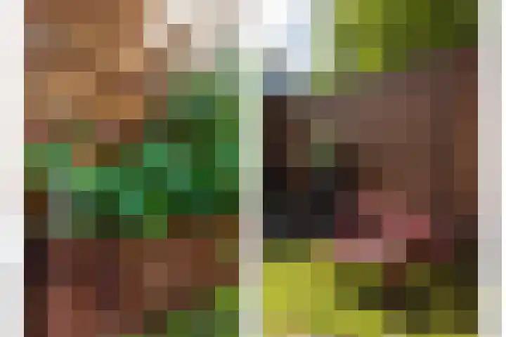 Lijsterbeslaan 10 Castricum thumbnail 27