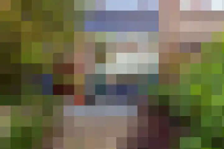 Lijsterbeslaan 10 Castricum thumbnail 46