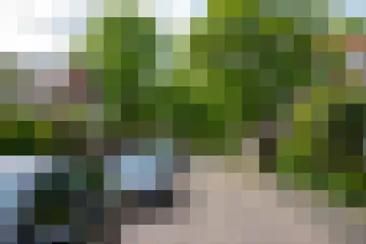 Lijsterbeslaan 10 Castricum thumbnail 47
