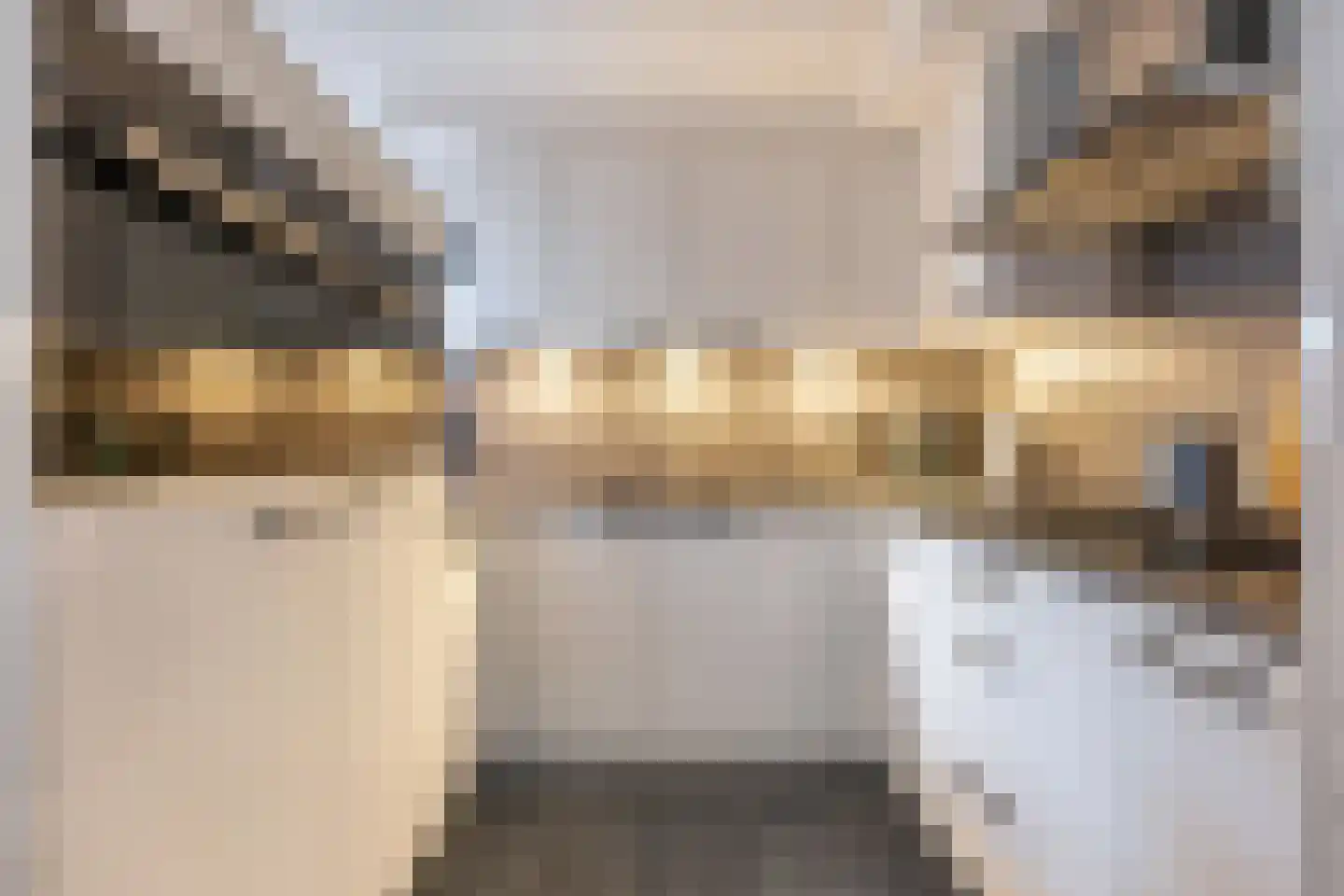 Lijsterbeslaan 10 Emmer-Compascuum thumbnail 10