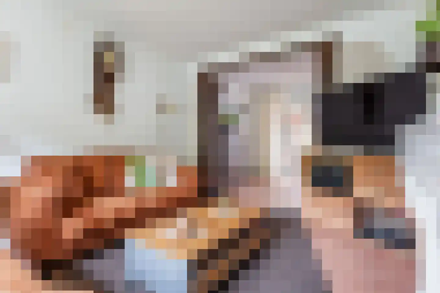 Lijsterbeslaan 10 Emmer-Compascuum thumbnail 15