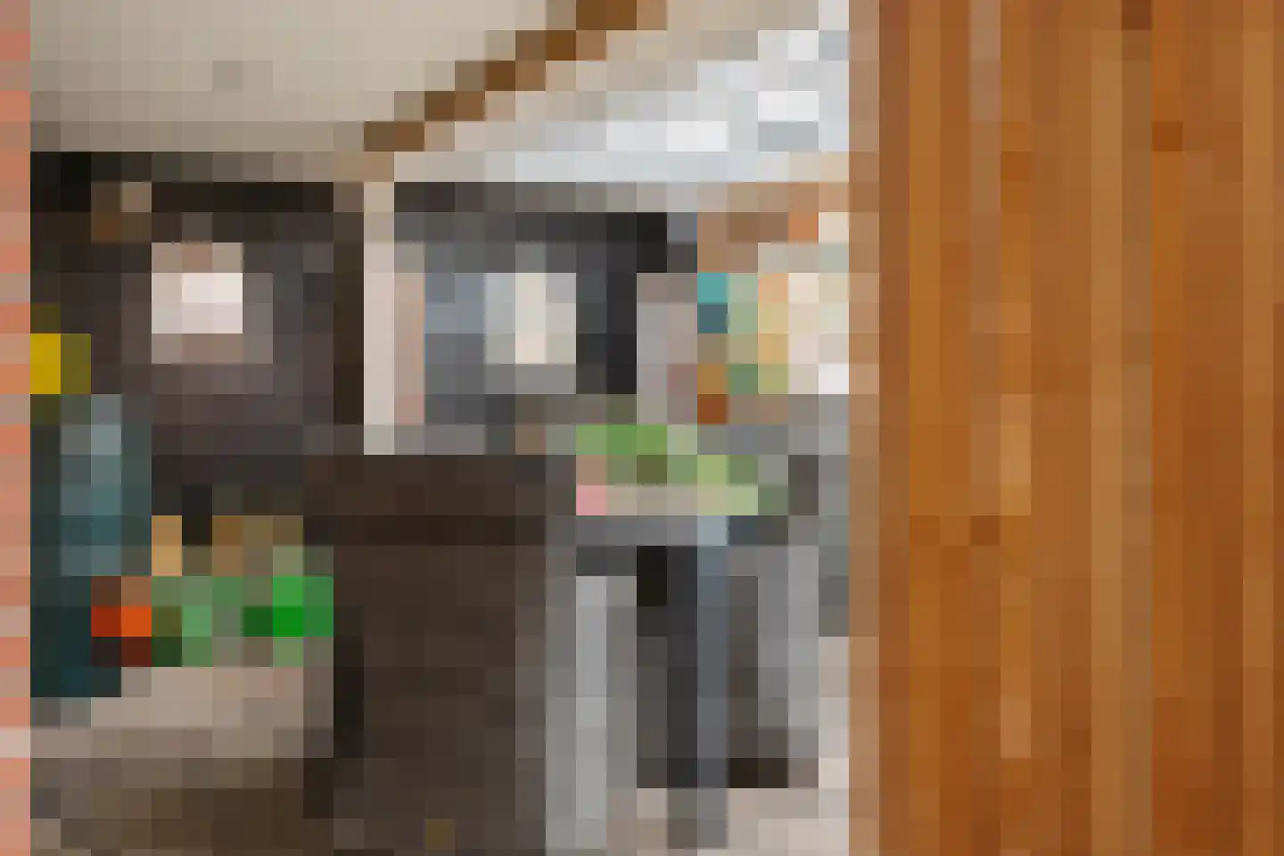 Lijsterbeslaan 10 Emmer-Compascuum thumbnail 17