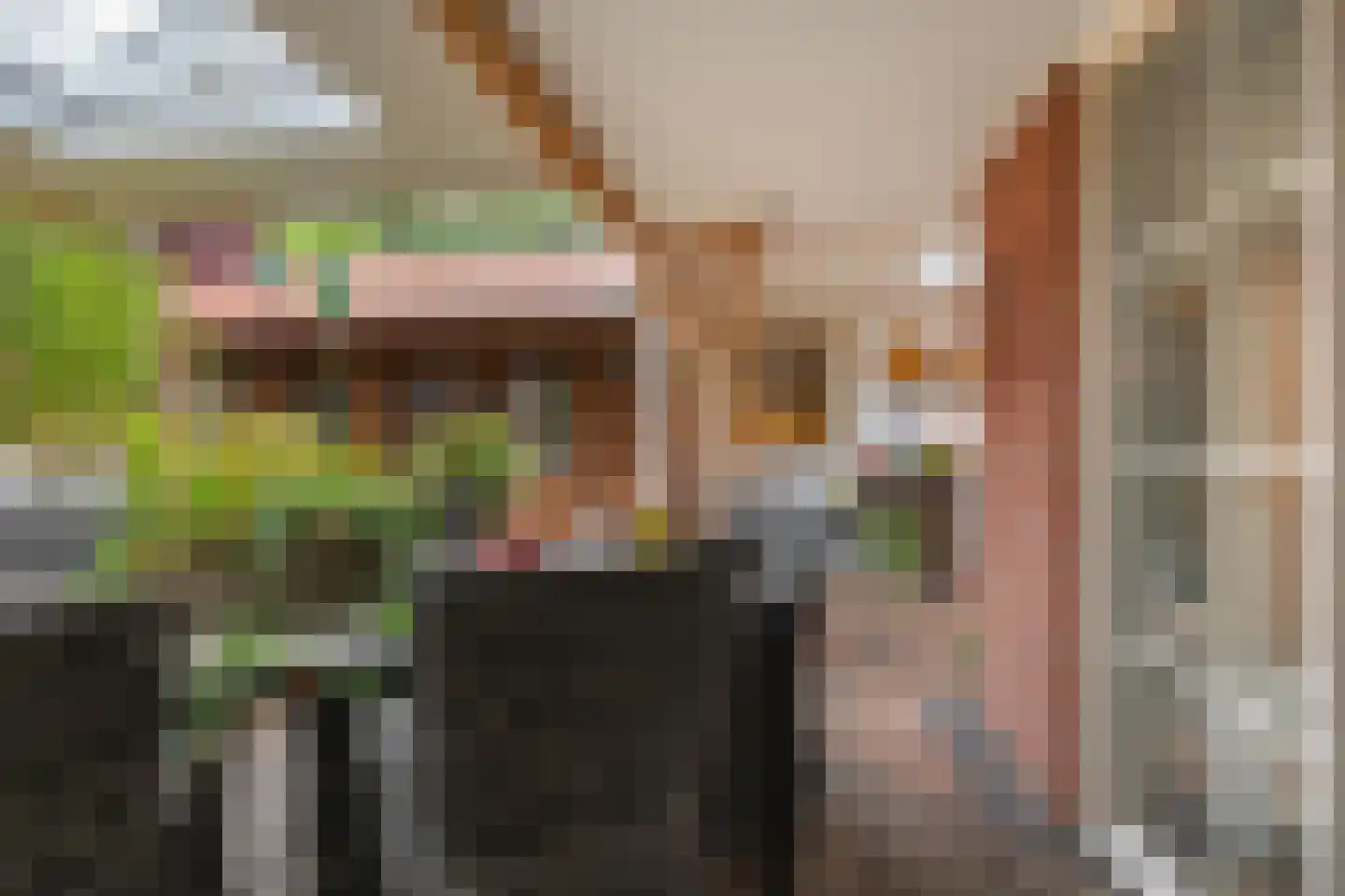 Lijsterbeslaan 10 Emmer-Compascuum thumbnail 20
