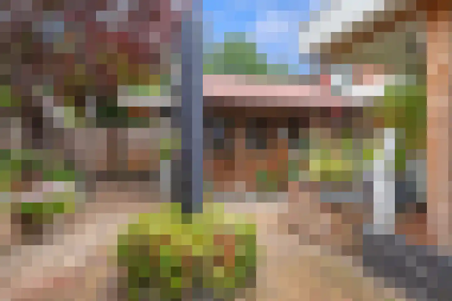 Lijsterbeslaan 10 Emmer-Compascuum thumbnail 22