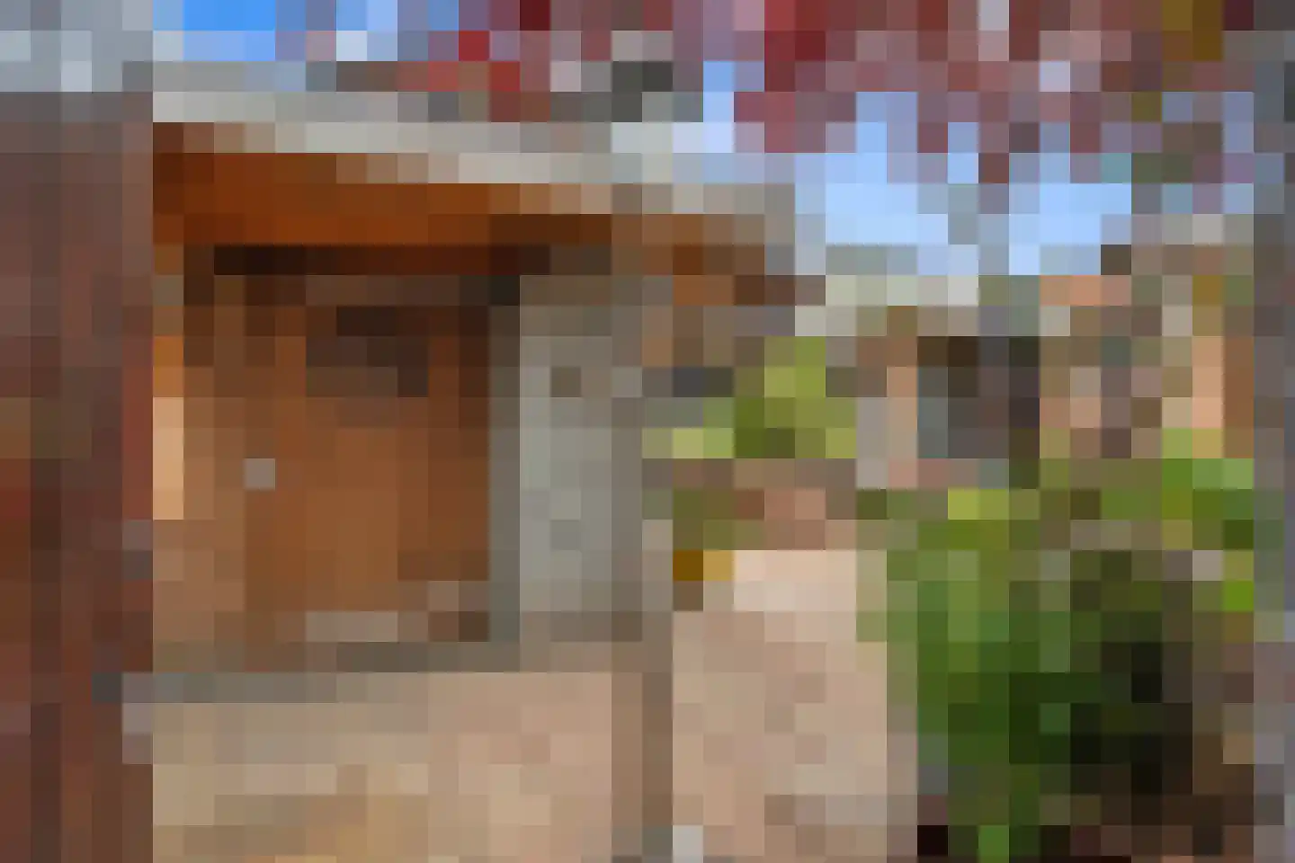 Lijsterbeslaan 10 Emmer-Compascuum thumbnail 23