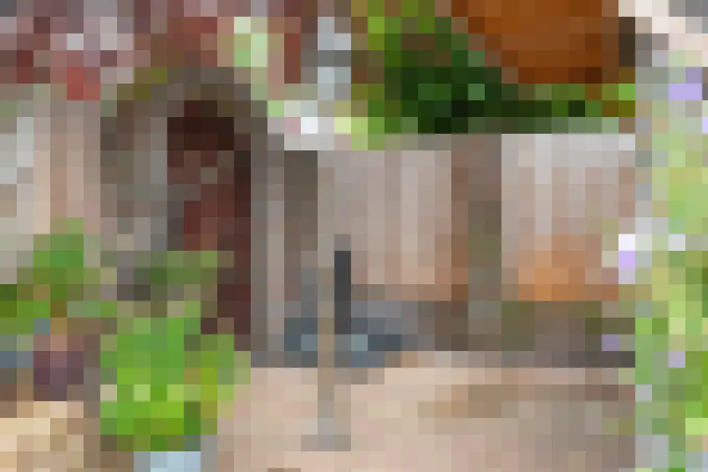 Lijsterbeslaan 10 Emmer-Compascuum thumbnail 25