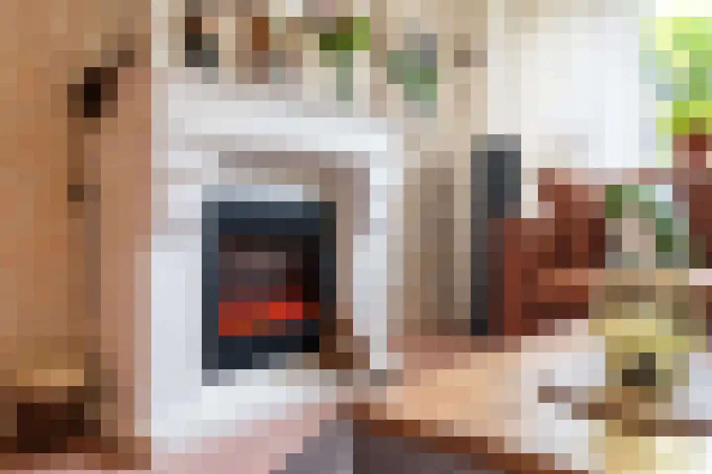 Lijsterbeslaan 10 Emmer-Compascuum thumbnail 26