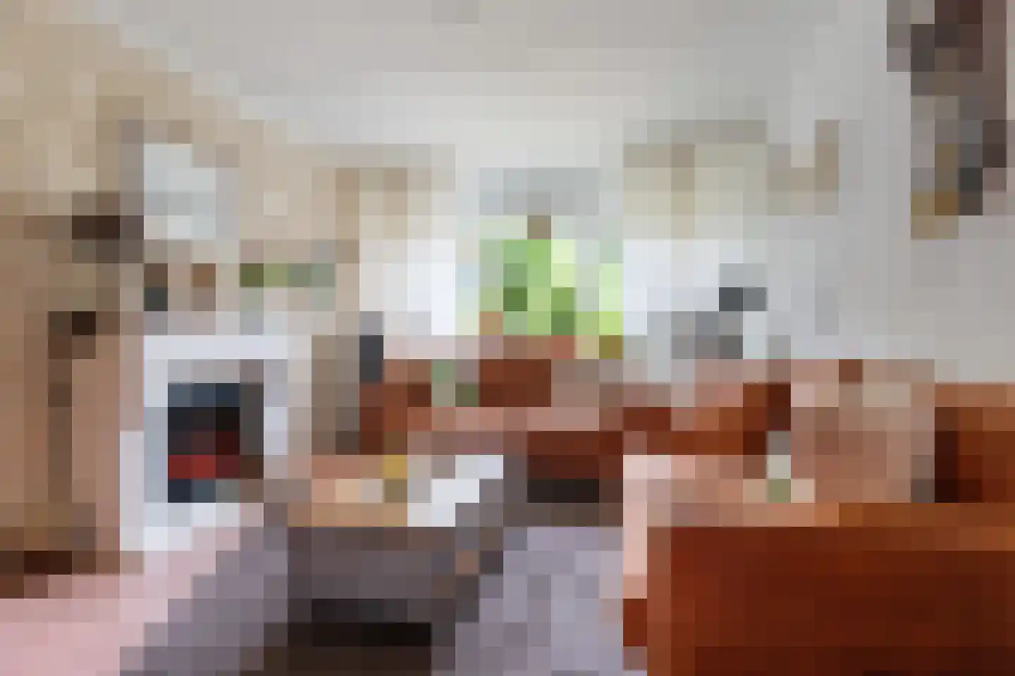 Lijsterbeslaan 10 Emmer-Compascuum thumbnail 27