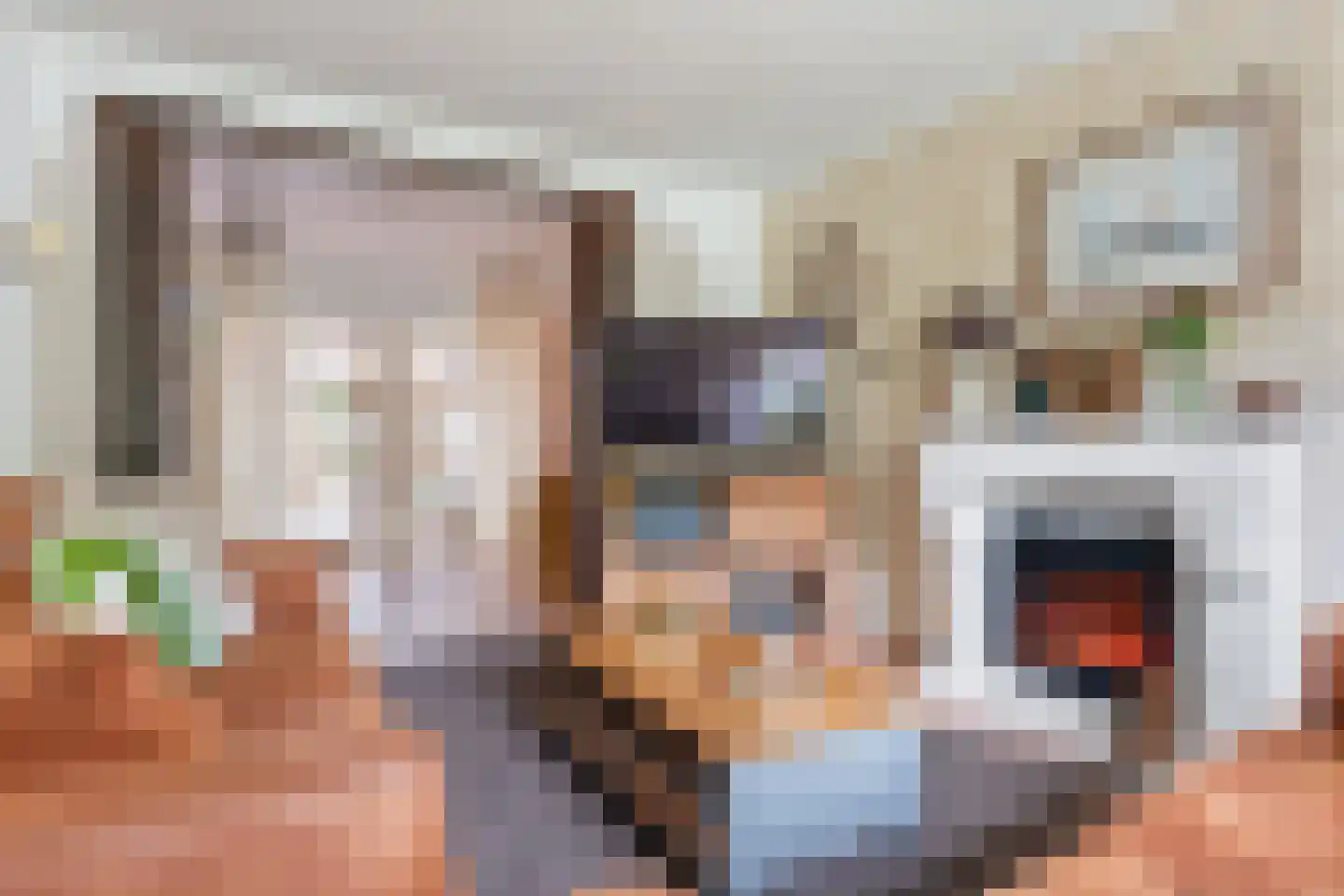 Lijsterbeslaan 10 Emmer-Compascuum thumbnail 28
