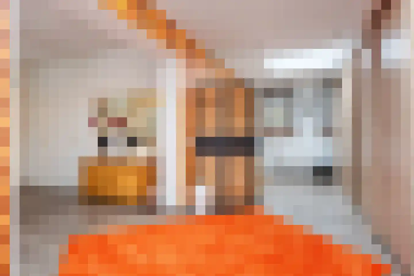 Lijsterbeslaan 10 Emmer-Compascuum thumbnail 31