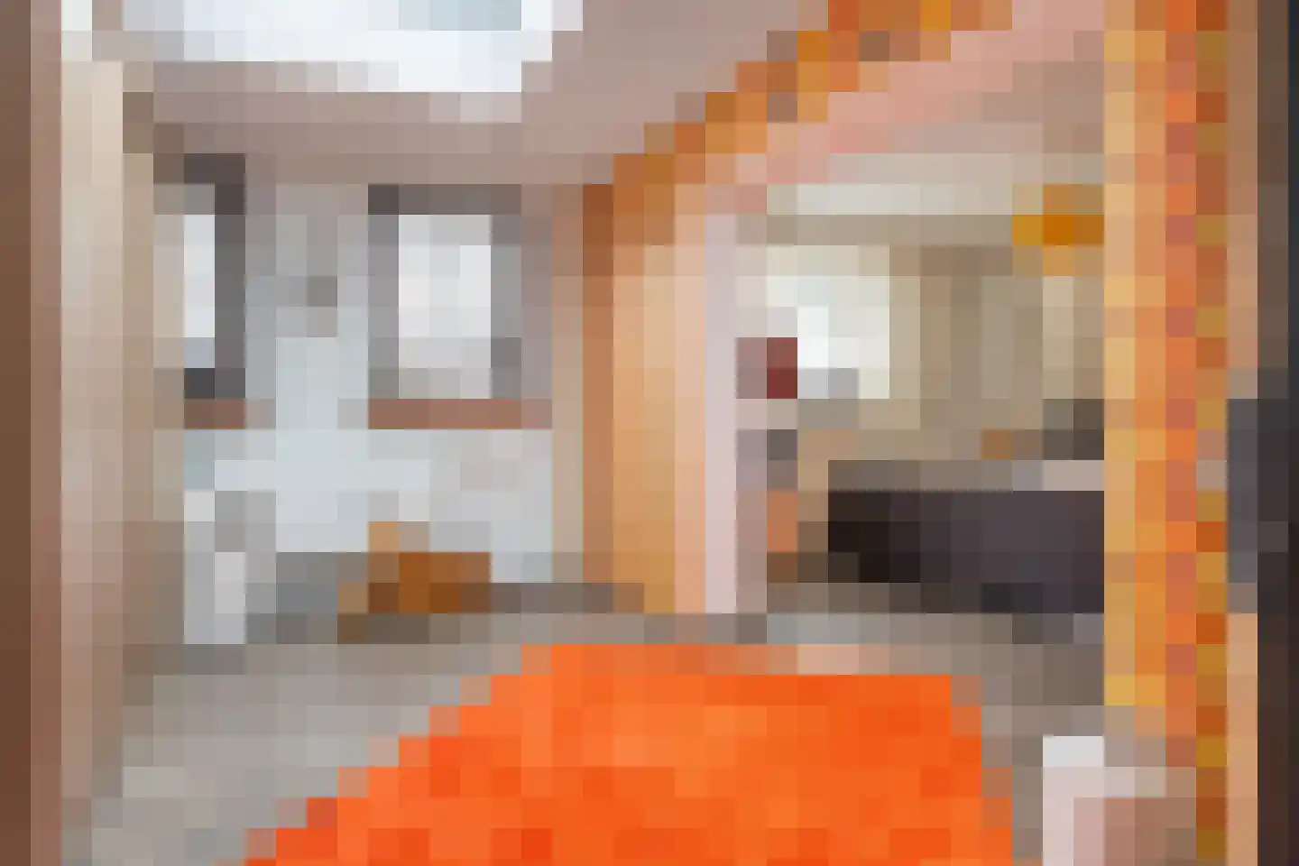 Lijsterbeslaan 10 Emmer-Compascuum thumbnail 32