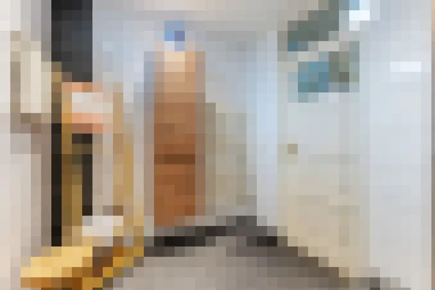 Lijsterbeslaan 10 Emmer-Compascuum thumbnail 35