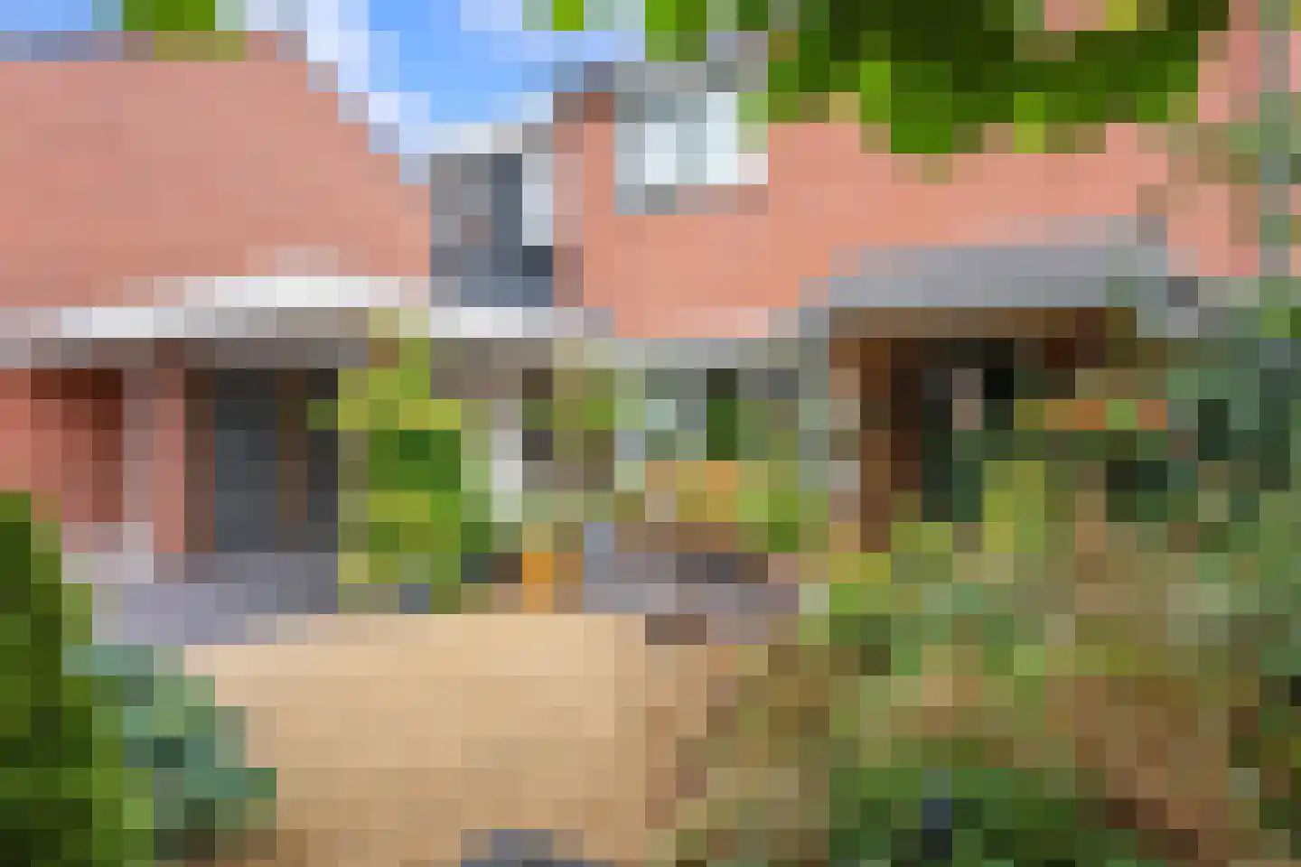 Lijsterbeslaan 10 Emmer-Compascuum thumbnail 4