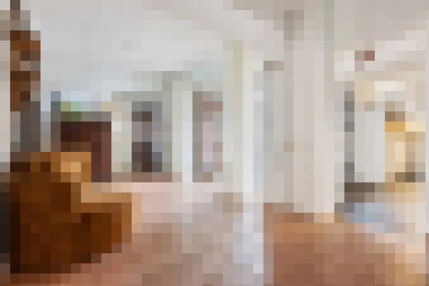 Lijsterbeslaan 10 Emmer-Compascuum thumbnail 43