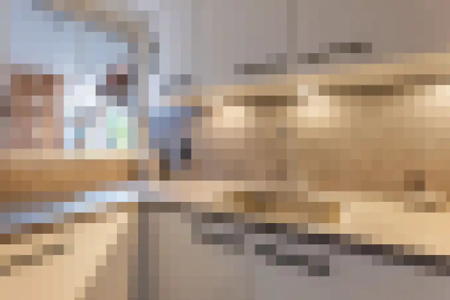 Lijsterbeslaan 10 Emmer-Compascuum thumbnail 45