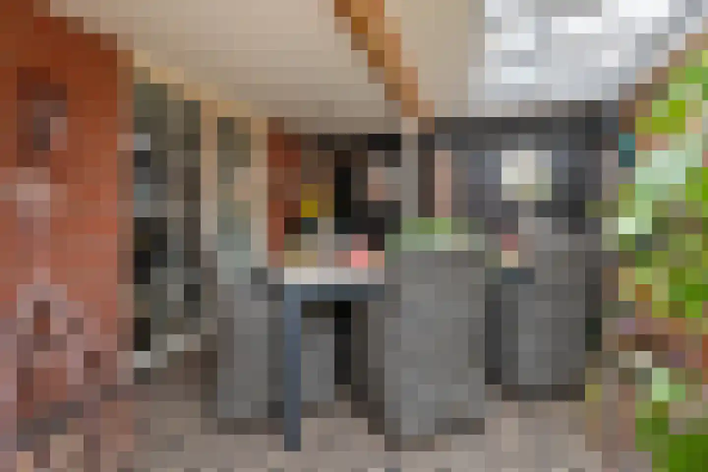 Lijsterbeslaan 10 Emmer-Compascuum thumbnail 46