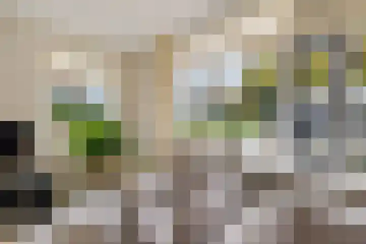 Lijsterbeslaan 10 Heerenveen thumbnail 14