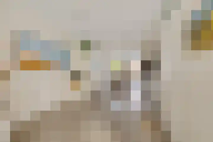 Lijsterbeslaan 10 Heerenveen thumbnail 17
