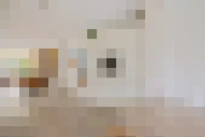 Lijsterbeslaan 10 Heerenveen thumbnail 22