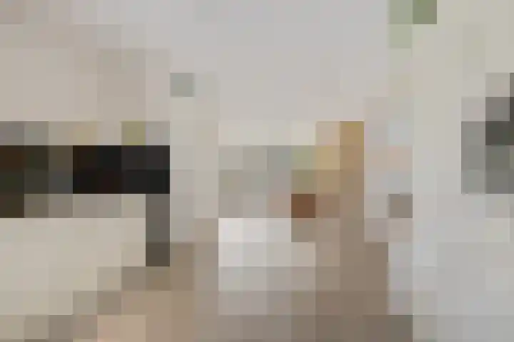 Lijsterbeslaan 10 Heerenveen thumbnail 23