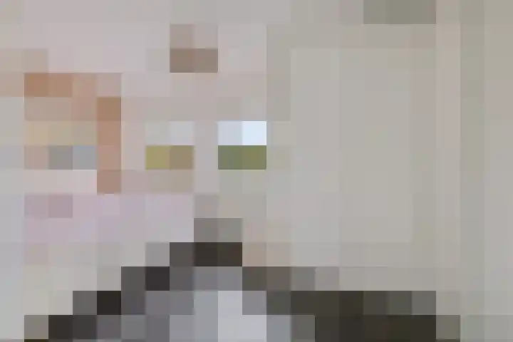 Lijsterbeslaan 10 Heerenveen thumbnail 29