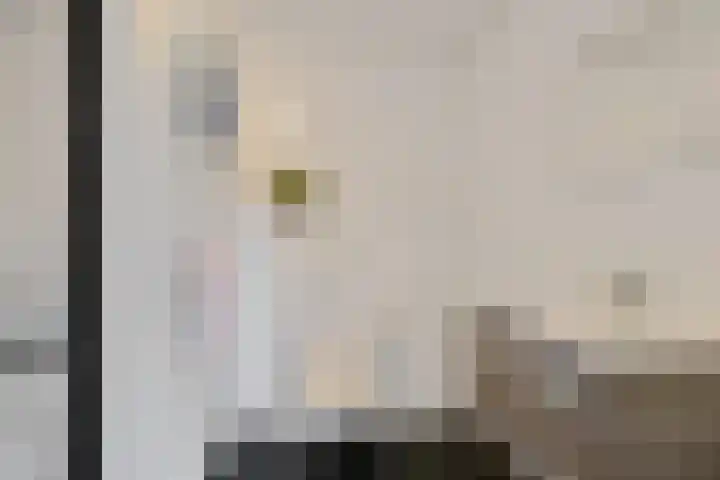 Lijsterbeslaan 10 Heerenveen thumbnail 30