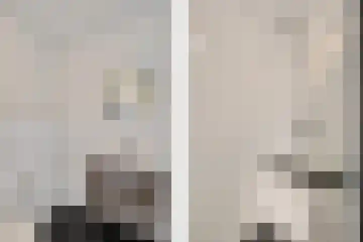 Lijsterbeslaan 10 Heerenveen thumbnail 31