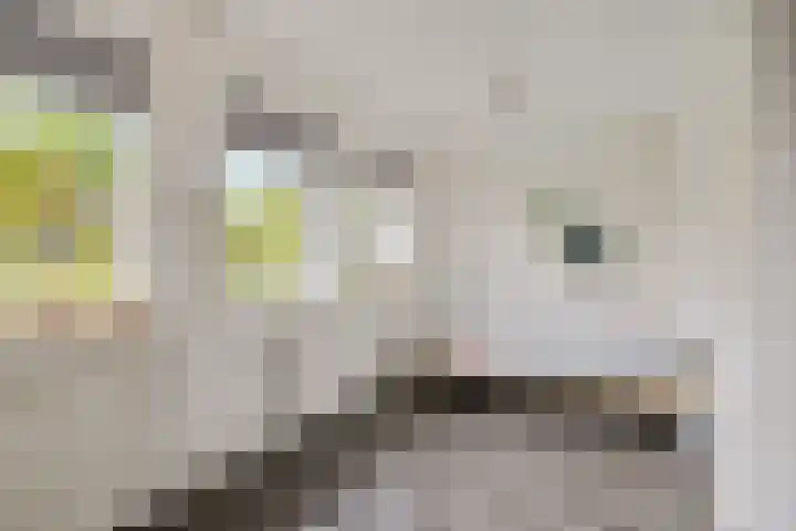Lijsterbeslaan 10 Heerenveen thumbnail 33