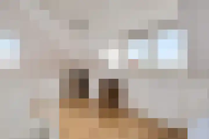 Lijsterbeslaan 10 Heerenveen thumbnail 37