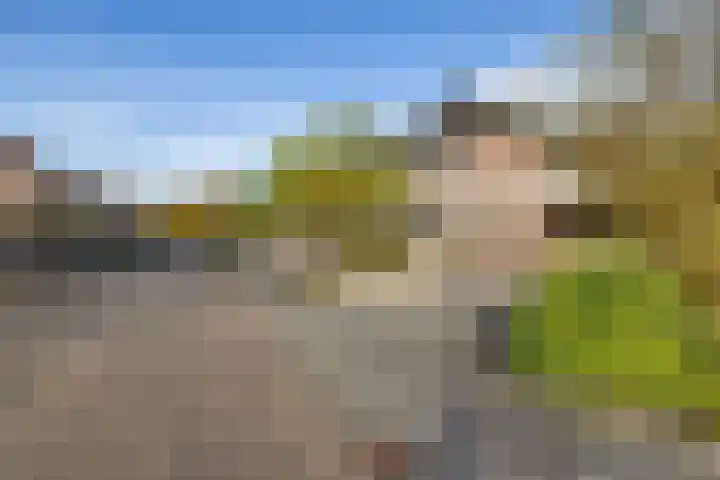 Lijsterbeslaan 10 Heerenveen thumbnail 39