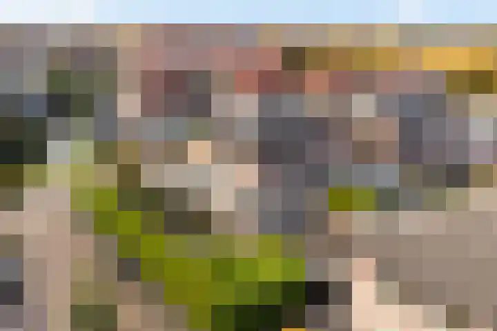 Lijsterbeslaan 10 Heerenveen thumbnail 4