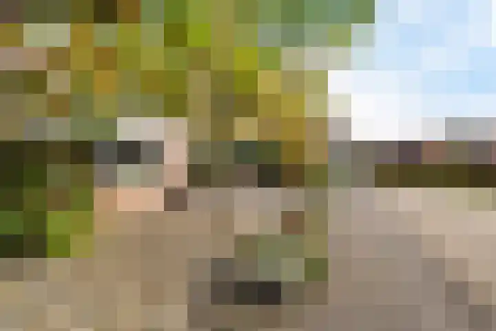 Lijsterbeslaan 10 Heerenveen thumbnail 40